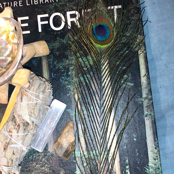 “The Ultimate Protection” Smudge Set w Angel Aura Quartz Complete Protection Set - Picture 6 of 16